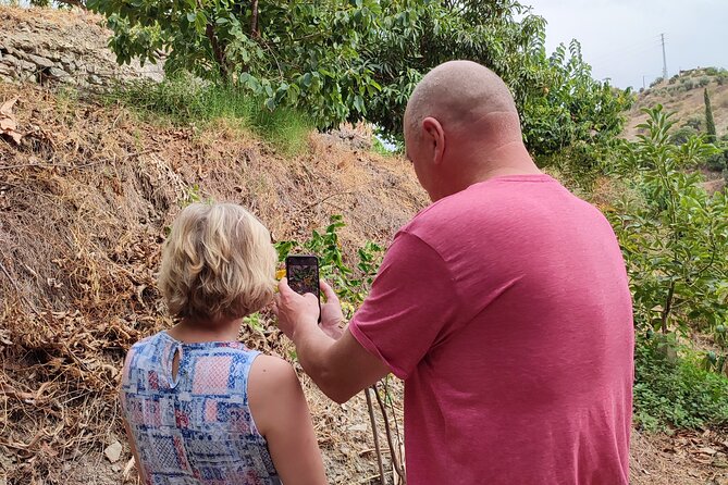 Guided Tour to the only coffee farm in Europe - Meeting Manolo Mateos: multilingual, story-driven, and very human