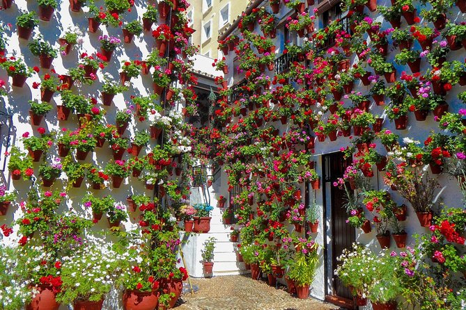 Guided Tour to the Popular Patios of Cordoba - Key Things to Know Before You Go