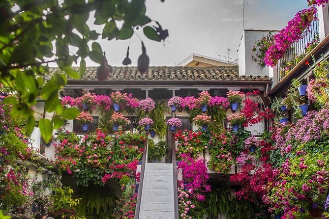 Guided Tour to the Popular Patios of Cordoba - Why Córdoba’s Popular Patios Feel Like Real Life