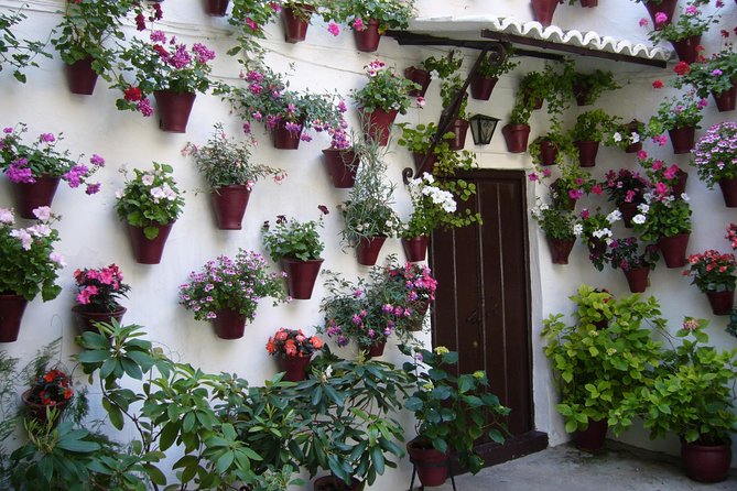 Guided Tour to the Popular Patios of Cordoba - Meeting Point and How to Keep Logistics Stress-Free