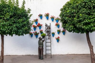 Guided Tour to the Popular Patios of Cordoba - The 2-Hour Walking Route: What You’ll Do on the Ground