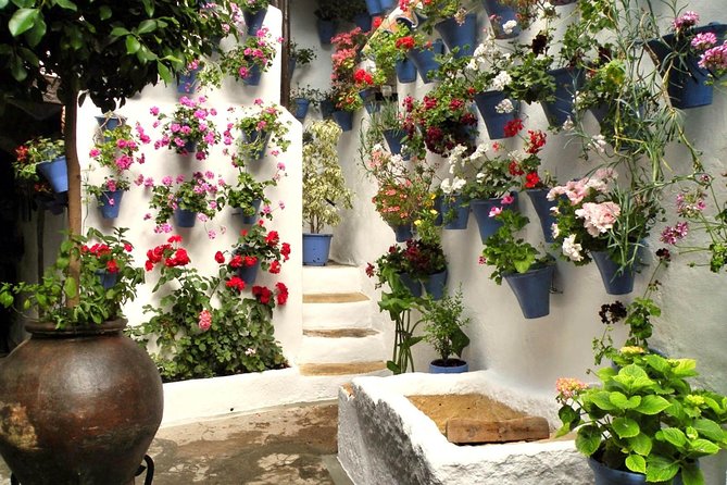 Guided Tour to the Popular Patios of Cordoba - Who Should Book This Patio Tour (and Who Should Skip It)
