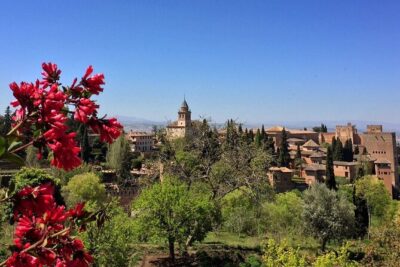 Guided visit Alhambra and Generalife - Nasrid Palaces: the 1 hour 20 minutes that matter most