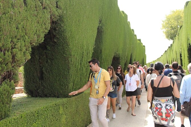 Guided visit to the Alhambra, Nasrid Palaces and Generalife - How a 3-hour guided Alhambra visit actually helps you