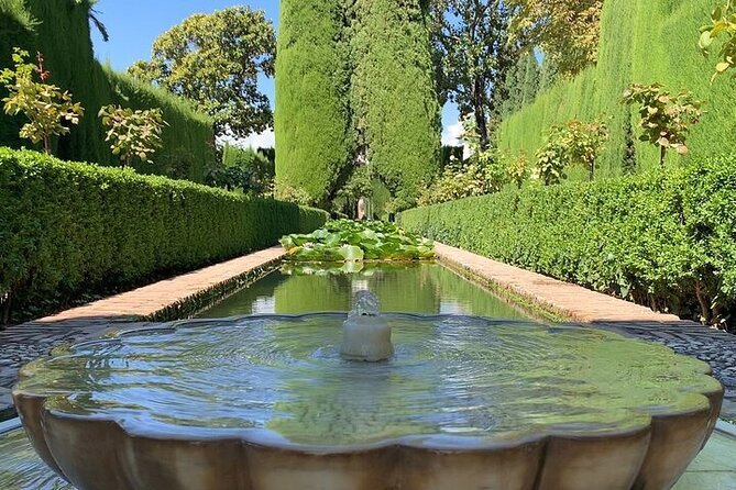 Guided visit to the Alhambra, Nasrid Palaces and Generalife - What it’s like with the guide: clarity wins