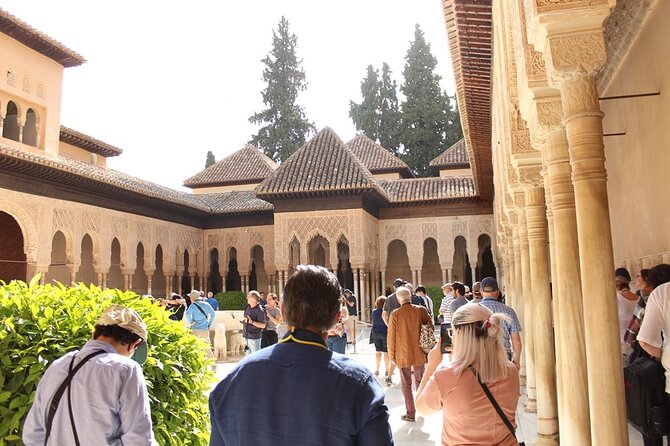Guided visit to the Alhambra, Nasrid Palaces and Generalife - Nasrid Palaces: Comares, Lions, and the ceiling craft you’ll remember