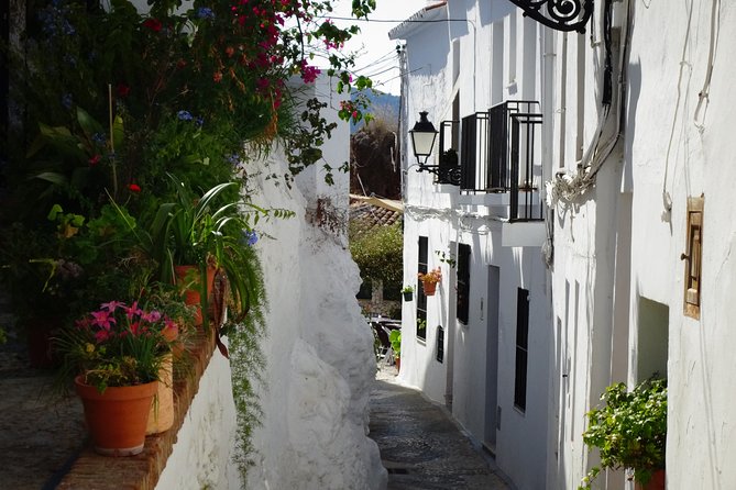 Guided Walking Tour of the Old Town of Frigiliana - Frigiliana’s Old Town Walk: small group, big hill energy