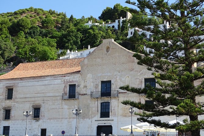 Guided Walking Tour of the Old Town of Frigiliana - Who should book this tour, and who might skip it