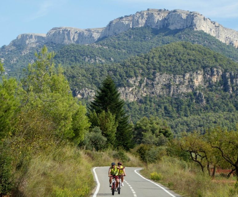 Half-Day Bike Tour from Salou - Gear and Bike Setup: Helmet Up, Then You’re Off