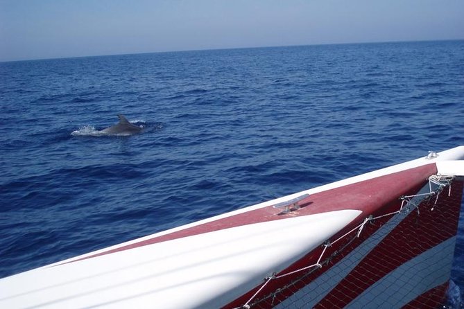 Half-Day Catamaran Trip in Menorca - The swim stop that makes this trip worth it