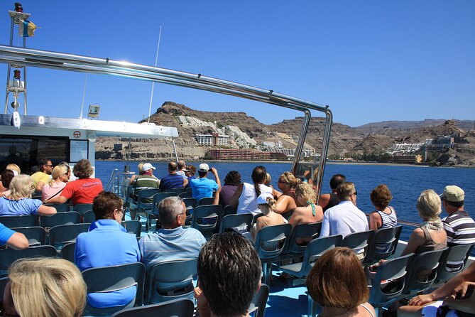 Half-Day Cruise Tour-Dolphin and Whale Watching - Crew, safety, and the vibe on board