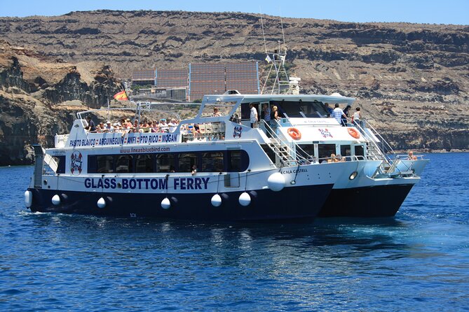 Half-Day Cruise Tour-Dolphin and Whale Watching - Price and value: why $44.65 can work out well