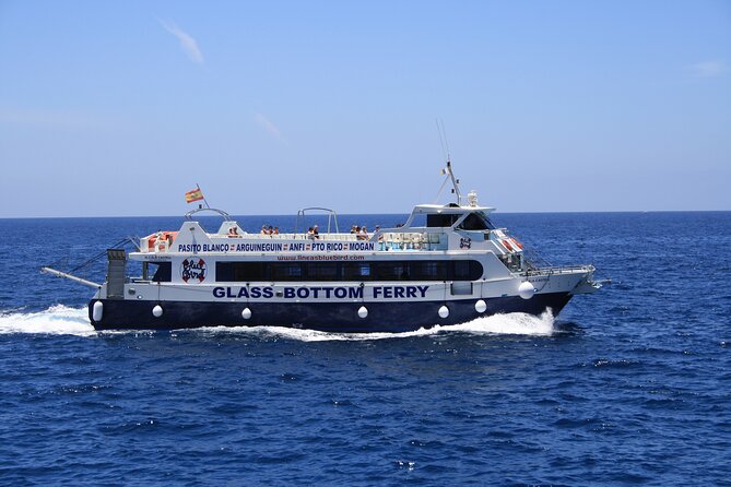 Half-Day Cruise Tour-Dolphin and Whale Watching - Getting picked up without losing your morning