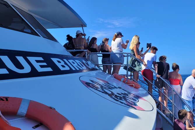 Half-Day Cruise Tour-Dolphin and Whale Watching - The swim and snorkel stop is short, but it’s the real break