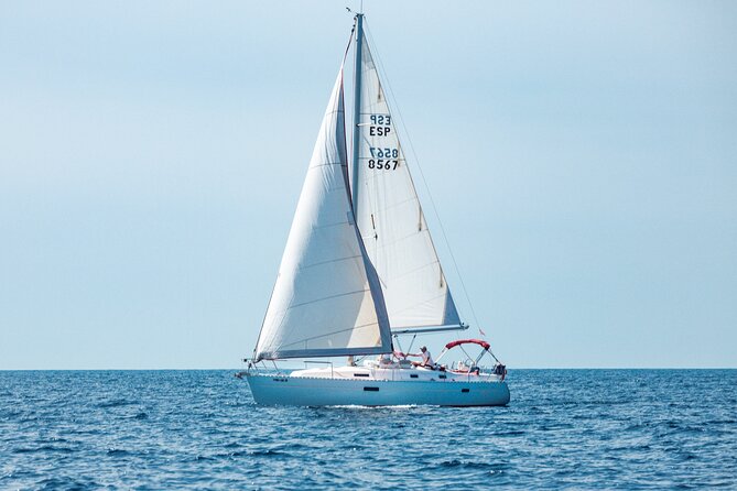 Half day on a private sailboat in Mallorca (port d'andratx) - The IDEFIX sailboat: a half-day format that feels like a real trip