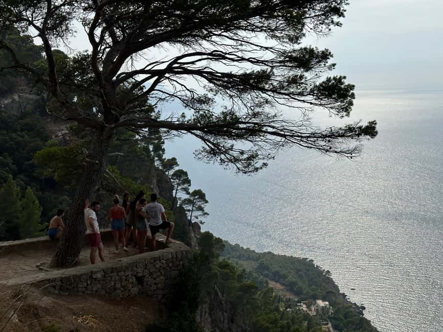 Hidden Coves, Hiking & Snorkeling Adventure in Mallorca - Sea Viewpoint Walk: The 30-Minute Finish That Makes the Steps Worth It