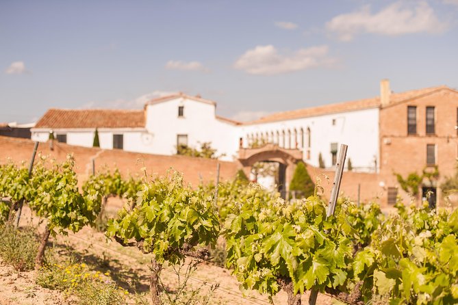 High-End Vineyard Escape: Cava, Tapas & Wine | Private Tour - Catalan Tapas Plate and Dessert Options (Plus Dietary Fixes)