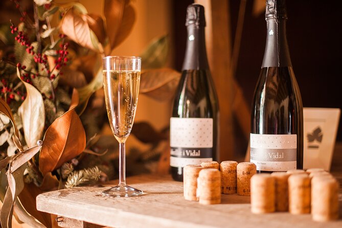 High-End Vineyard Escape: Cava, Tapas & Wine | Private Tour - Small Details That Make or Break the Day