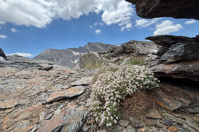 Hiking experience in the High Sierra Nevada National Park - Who This Hike Fits (and Who Might Want a Softer Day)
