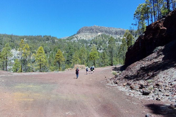 Hiking in Tenerife's Great Outdoors - Teide National Park: The Stop Built for Views and Photo Stops