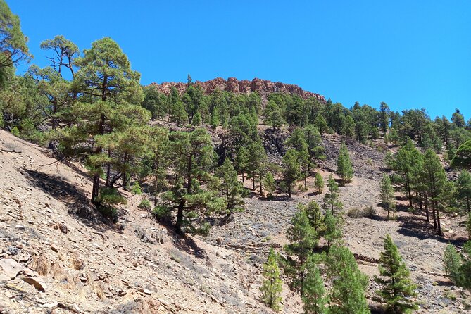 Hiking in Tenerife's Great Outdoors - Learning on the Move: Geology, History, and Local Traditions From Andy