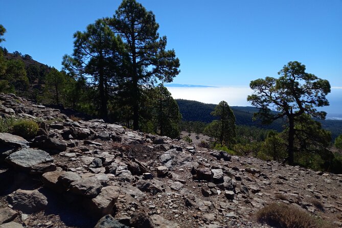 Hiking in Tenerife's Great Outdoors - Pickup Around Los Cristianos and Costa Adeje (So You Don’t Waste Morning Time)