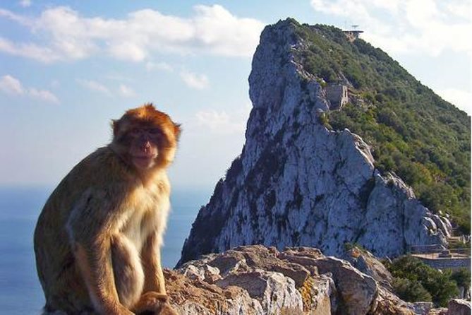 Historic Gibraltar Rock and St Michael's Cave Tour from Seville - Guides, Drivers, and the Pace You’ll Feel All Day
