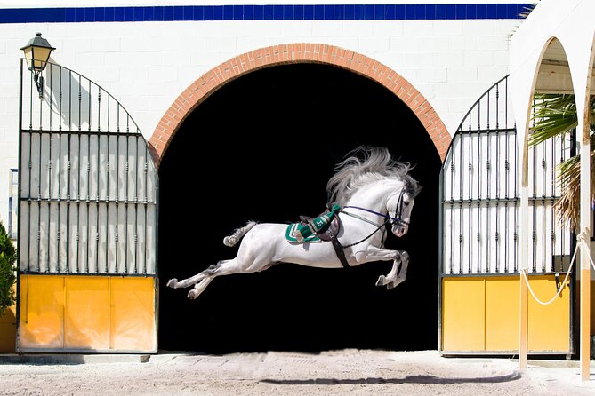 Horse and Flamenco Show in Malaga - Key Highlights You Should Know Before You Go