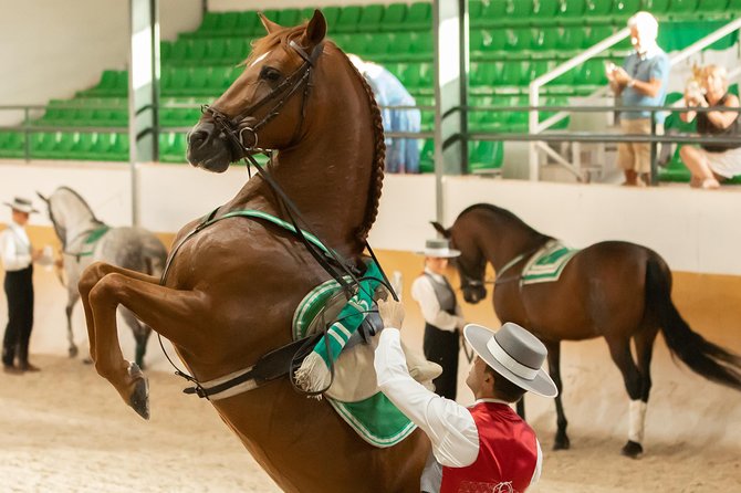 Horse and Flamenco Show in Malaga - Ritmo a Caballo at El Ranchito: What You’re Actually Watching