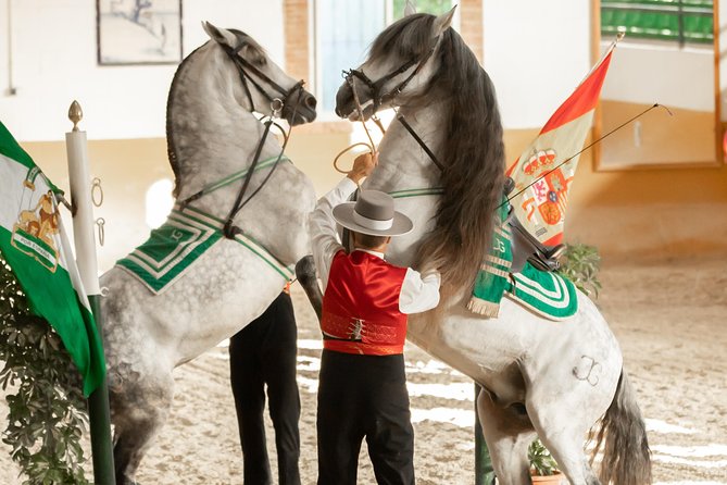 Horse and Flamenco Show in Malaga - The Main Horse Program: Rhythm, Discipline, and About 90 Minutes of Action