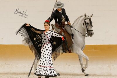 Horse and Flamenco Show in Malaga - Club Hípico El Ranchito: The Setting Before the Performance