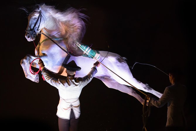 Horse and Flamenco Show in Malaga - Flamenco and Horses: How the Dance Fits the Evening