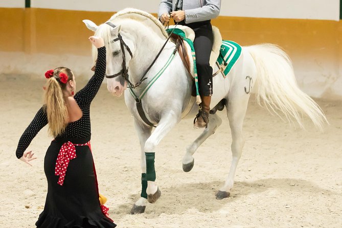 Horse and Flamenco Show in Malaga - Seats, Sound, and When to Bring a Layer