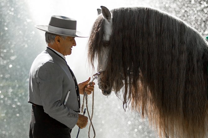 Horse and Flamenco Show in Malaga - Price and Value: Is $41.03 Worth It?