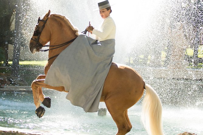 Horse and Flamenco Show in Malaga - A Quick Note on Animal-Care Concerns (How to Decide Based on Your Comfort)