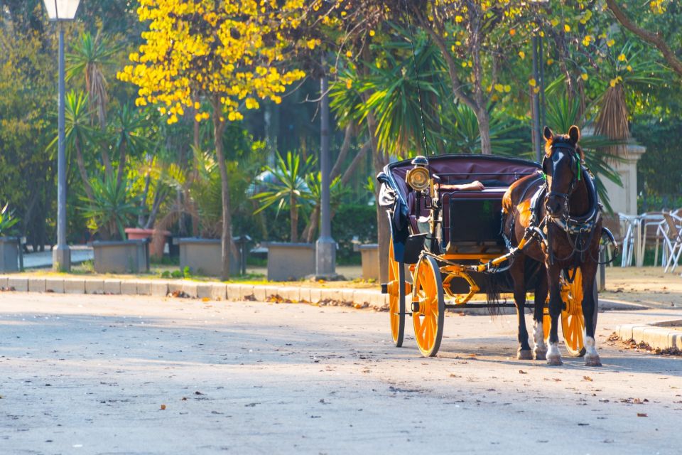 Horse-Drawn Carriage Ride Through Seville - The Private Carriage Setup (and Why Up to 4 People Is a Big Deal)