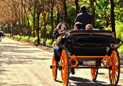 Horse-Drawn Carriage Ride Through Seville - The Early Route: San Telmo Palace, Torre del Oro, and Plaza de Toros