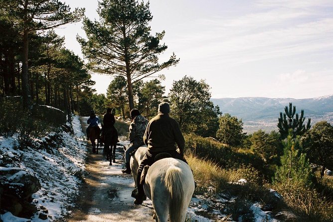 Horse Riding Madrid Natural Park - Key things I’d bet on before you book