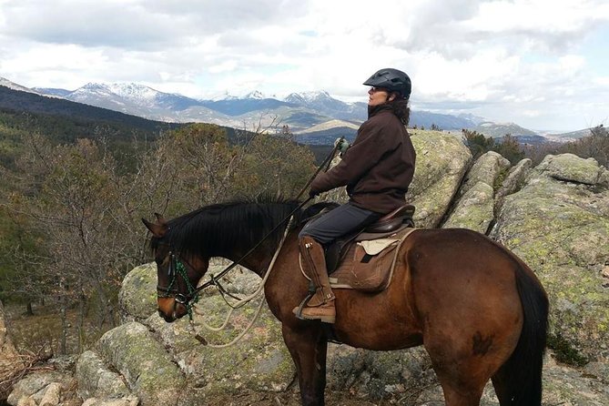 Horse Riding Madrid Natural Park - What you do before you ride: helmets, rules, and level coaching