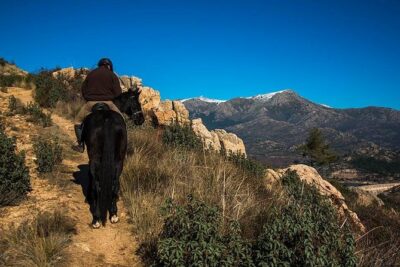 Horse Riding Madrid Natural Park - Getting there: the Collado Mediano meeting point and real-world transport