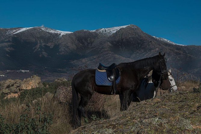 Horse Riding Madrid Natural Park - The Sierra de Guadarrama ride itself: pace, terrain, and the view payoff