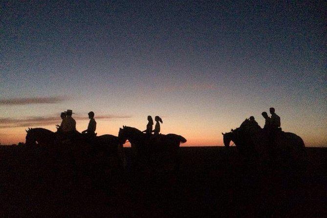 Horseback riding around Doñana National Park - Key highlights at a glance