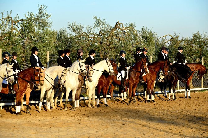 Horseback riding around Doñana National Park - From Seville to Centro Ecuestre El Acebuche: quick hop to real countryside