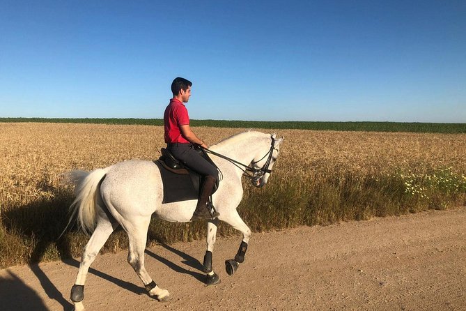 Horseback riding around Doñana National Park - The farm wrap-up: grooming, washing, and a final drink with stories