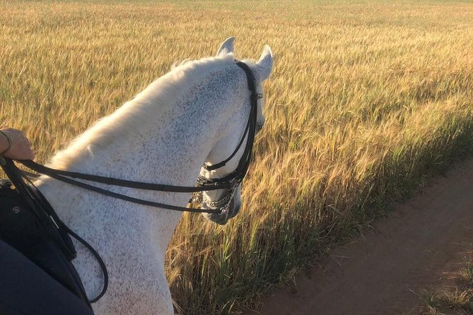Horseback riding around Doñana National Park - Weather and comfort reality check (so you don’t get surprised)