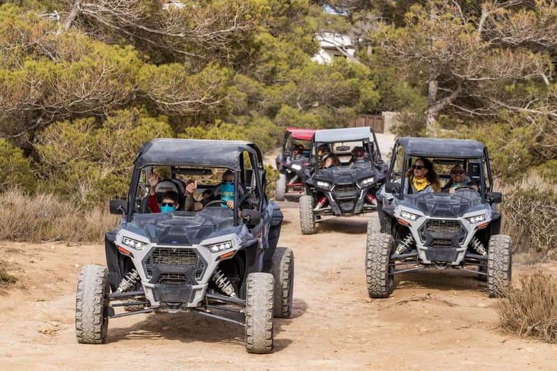 Ibiza: Guided Buggy Tour with Beach Stops - Starting Point at Avenida Doctor Fleming 15 (Sant Antoni) and How the Day Gets Moving