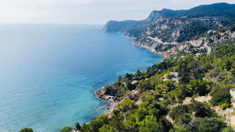 Ibiza: Half Day Island Tour with Iconic Photo Spots - Who this tour is best for (and who should skip it)