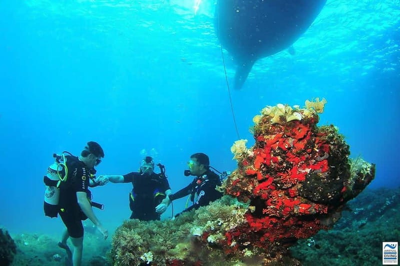 Ibiza: PADI Discover Scuba Diving & Snorkeling Boat Trip - Key highlights