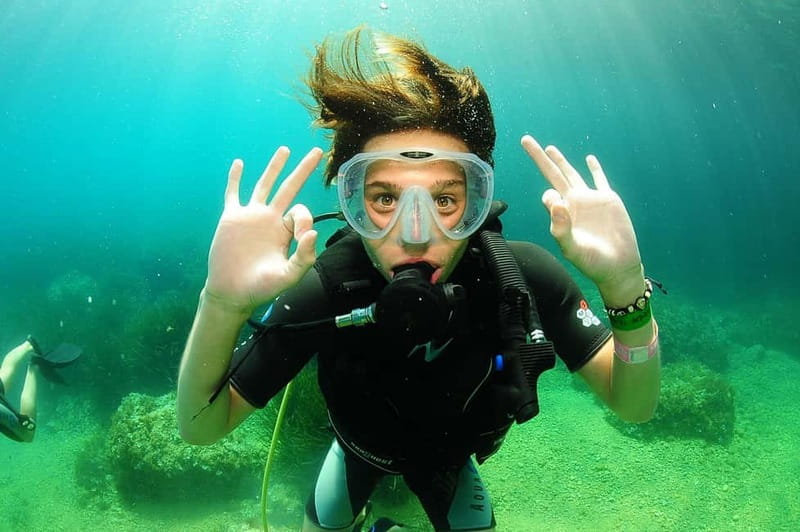 Ibiza: PADI Discover Scuba Diving & Snorkeling Boat Trip - The house reef and sea life: what to expect to see
