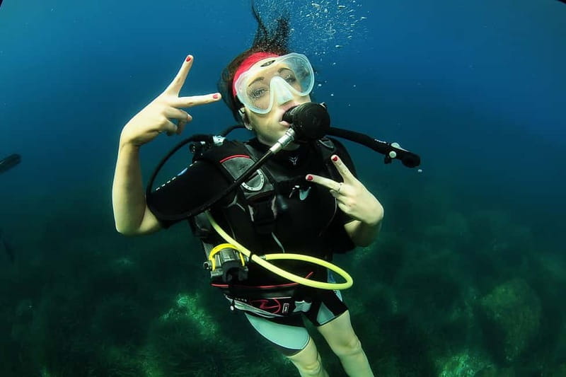 Ibiza: PADI Discover Scuba Diving & Snorkeling Boat Trip - Who this experience fits (and who should skip it)